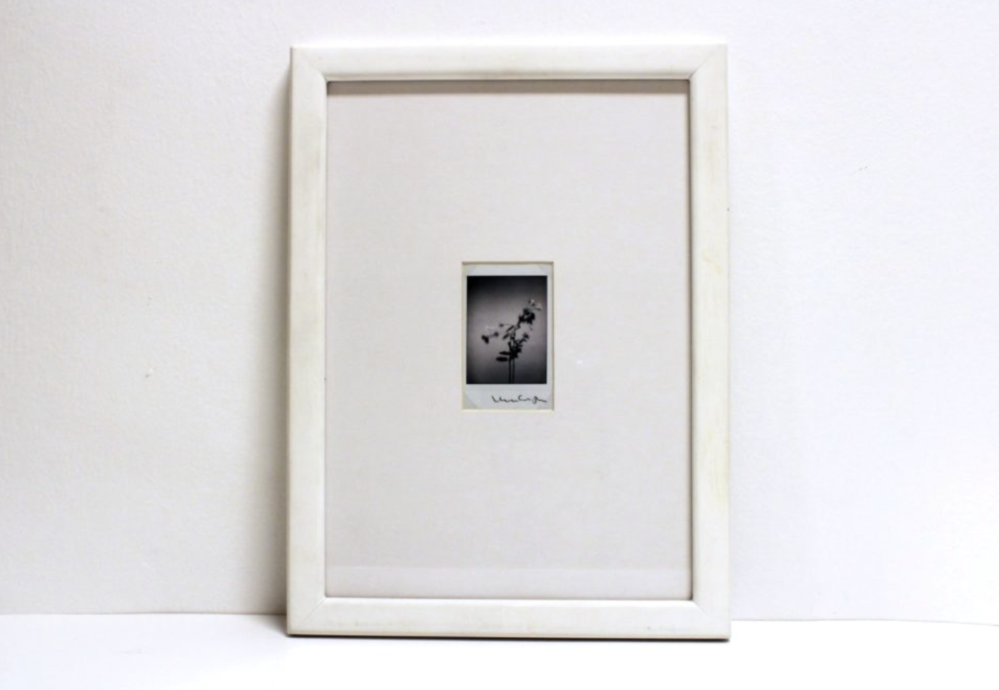 Polaroid